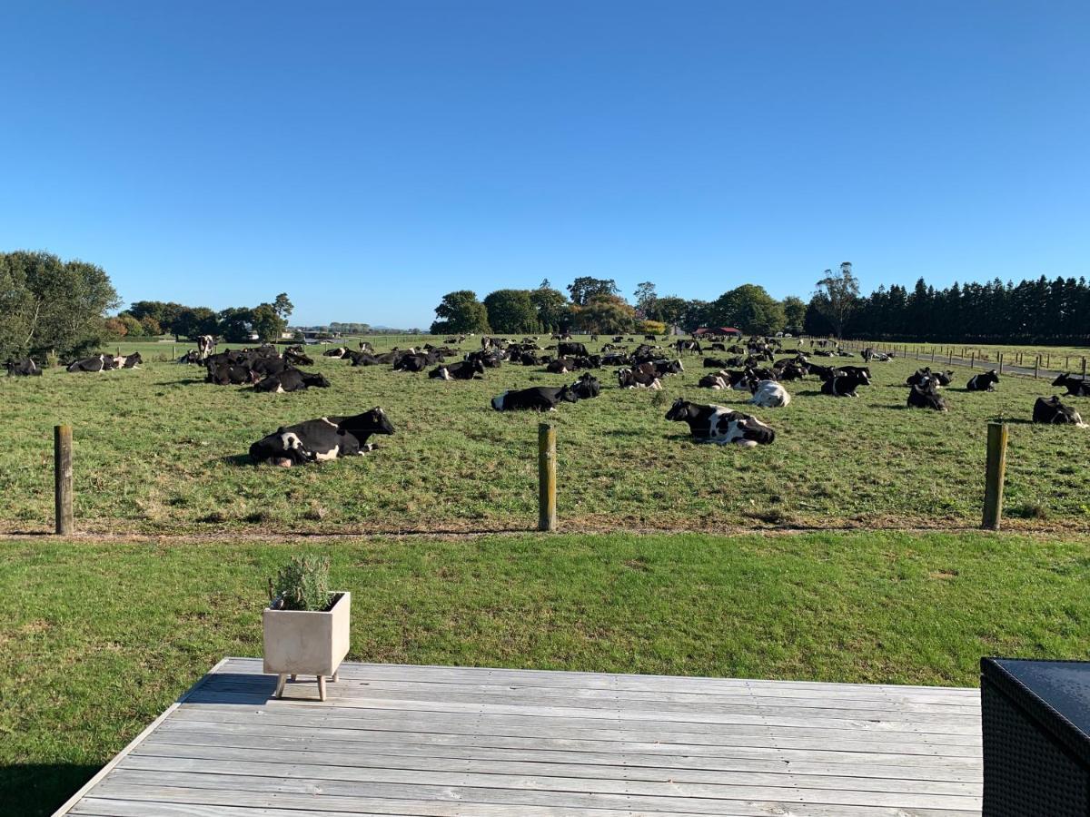 A Place In The Paddock Matamata